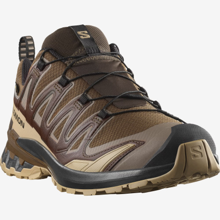 Кроссовки XA PRO 3D v9 GTX (RU 47 UK 12.5 USm 13 СМ 30.5; dark earth/desert tan/black)